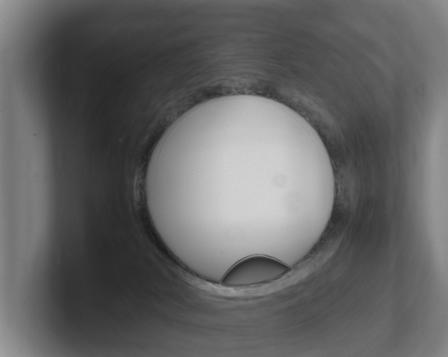 X0000102270038200807250906