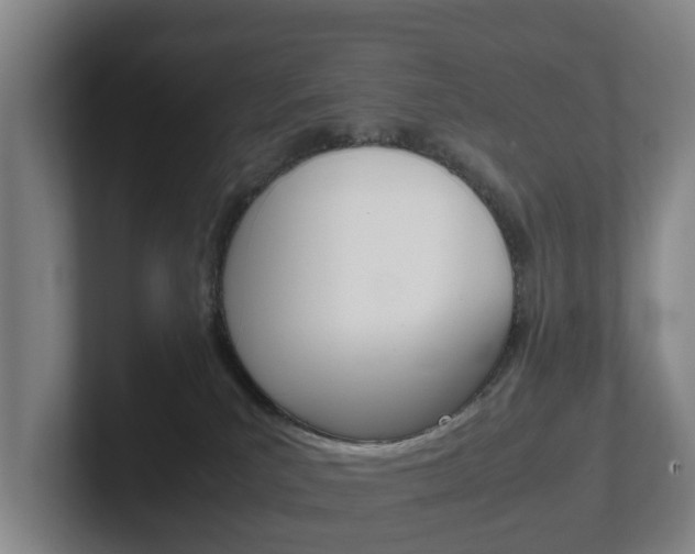 X0000102270039200807250906