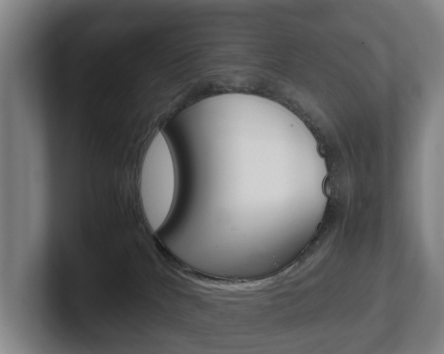X0000102270040200807250906