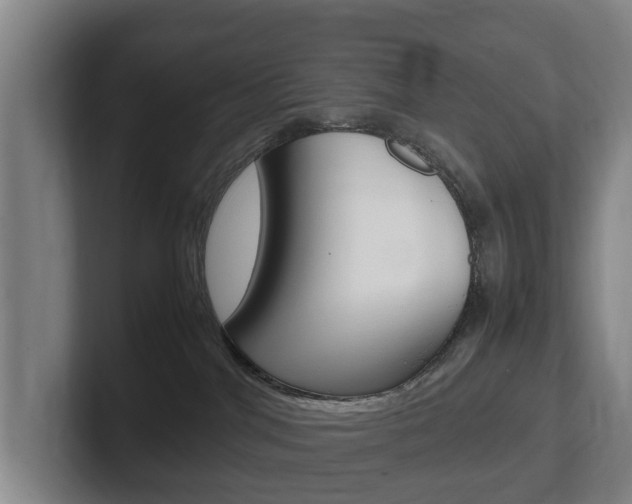 X0000102270044200807250906