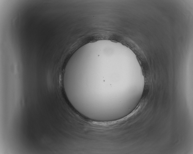 X0000102270045200807250906