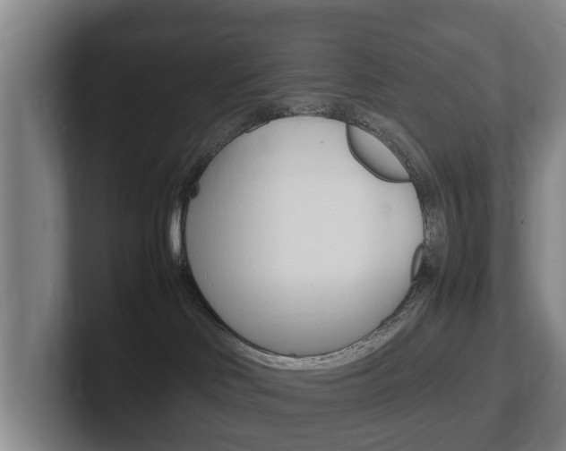 X0000102270046200807250906