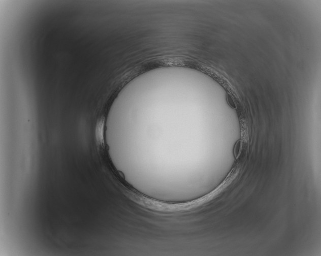 X0000102270047200807250906