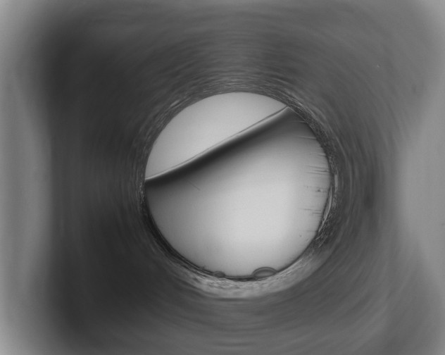 X0000102270048200807250906
