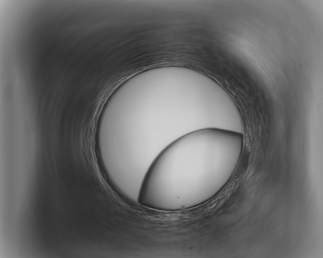 X0000102270049200807250906