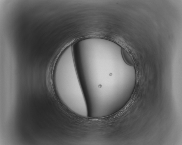 X0000102270050200807250906