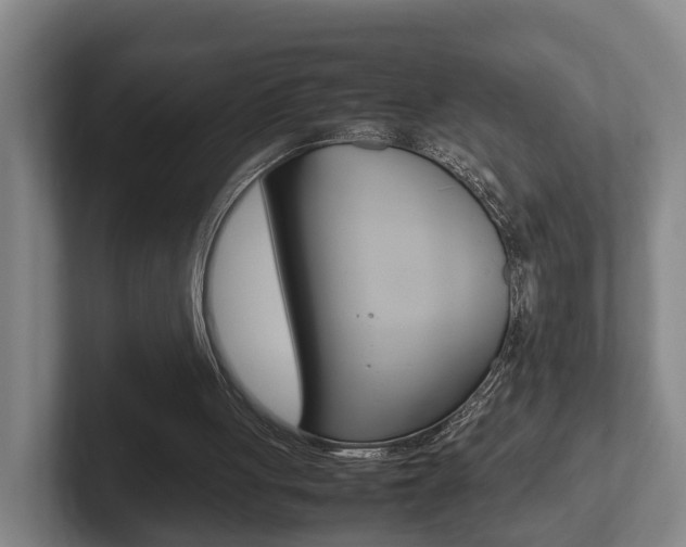 X0000102270051200807250906