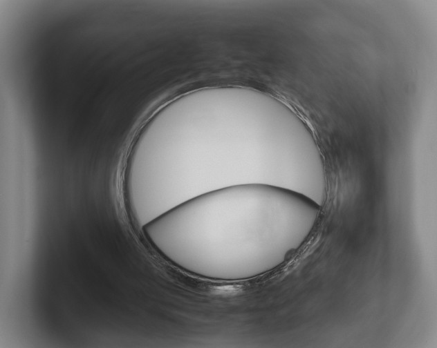 X0000102270053200807250906