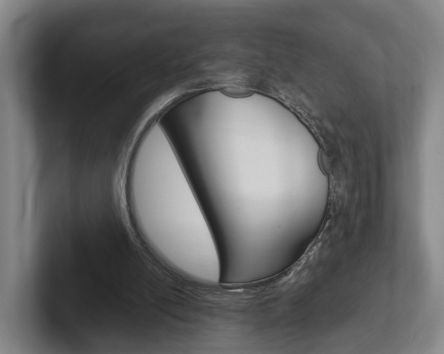 X0000102270054200807250906