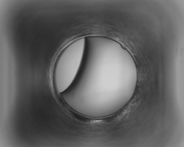 X0000102270055200807250906