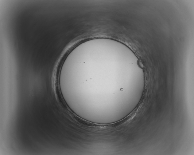 X0000102270056200807250906