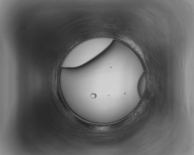 X0000102270057200807250906