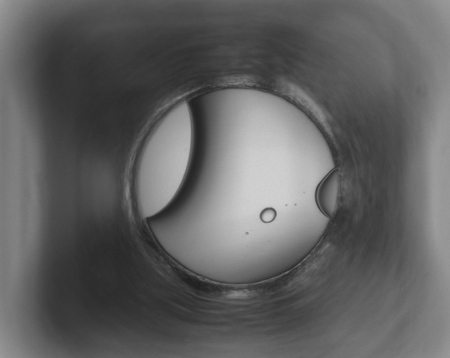 X0000102270059200807250906