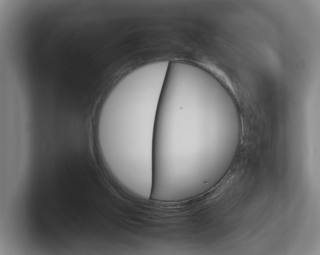X0000102270061200807250906