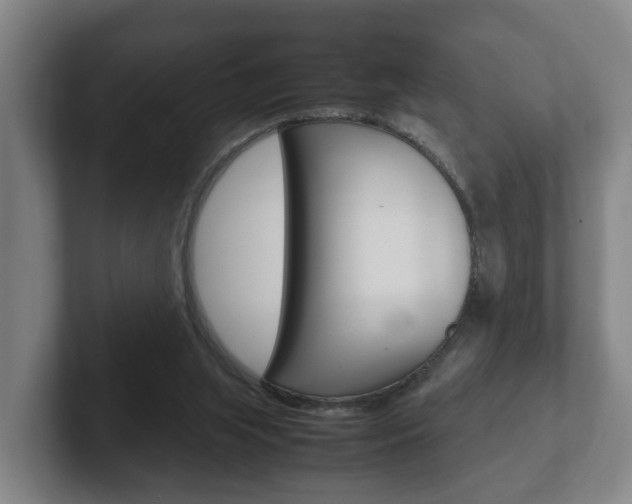 X0000102270063200807250906