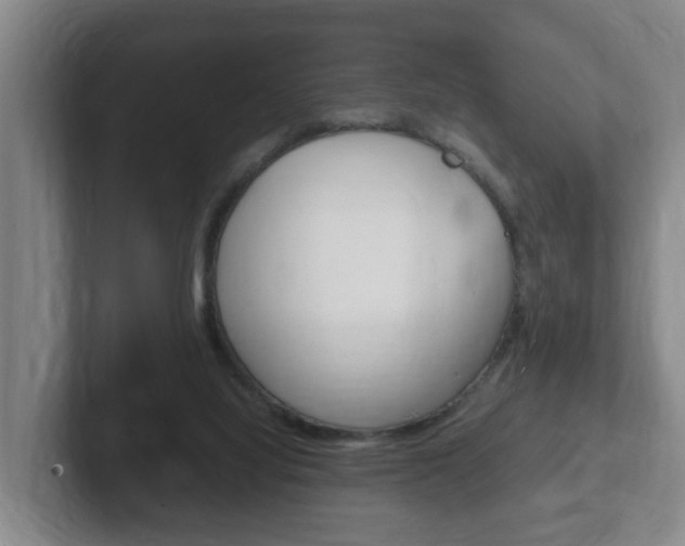 X0000102270068200807250906
