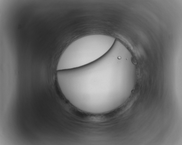X0000102270069200807250906