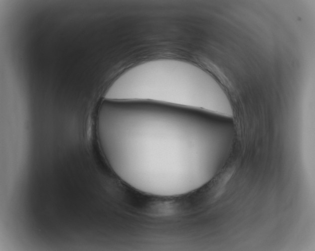 X0000102270071200807250906