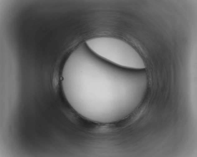 X0000102270072200807250906