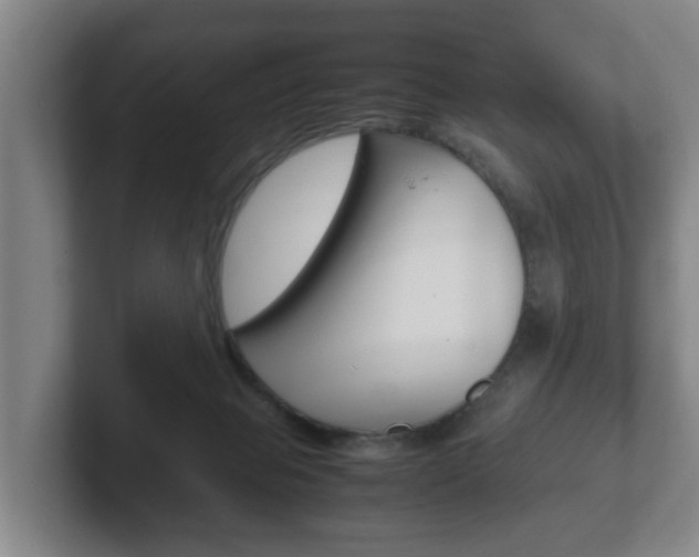 X0000102270077200807250906