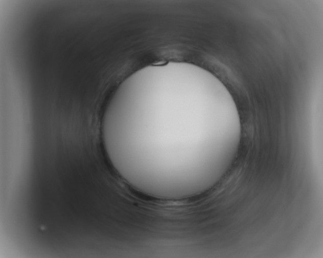 X0000102270081200807250906