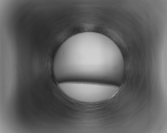 X0000102270082200807250906