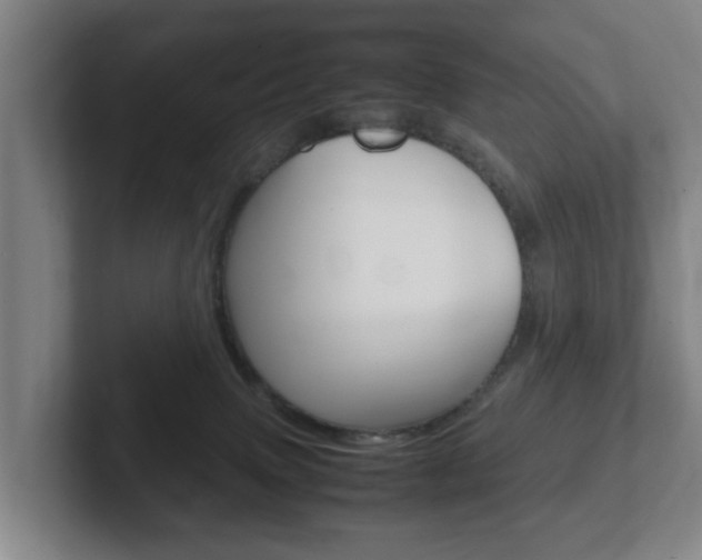 X0000102270083200807250906