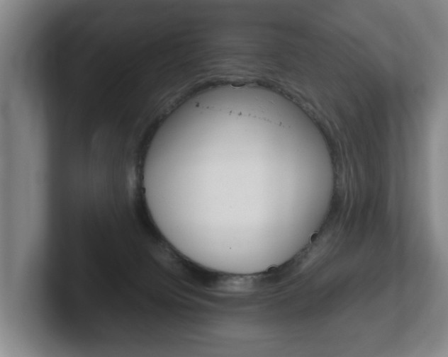 X0000102270084200807250906
