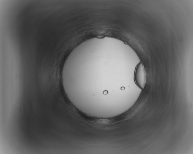 X0000102270085200807250906