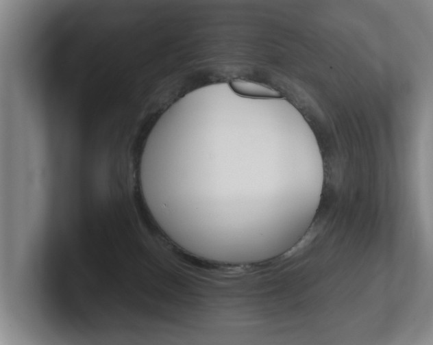 X0000102270086200807250906