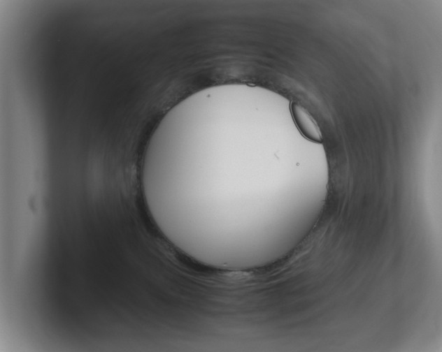 X0000102270087200807250906