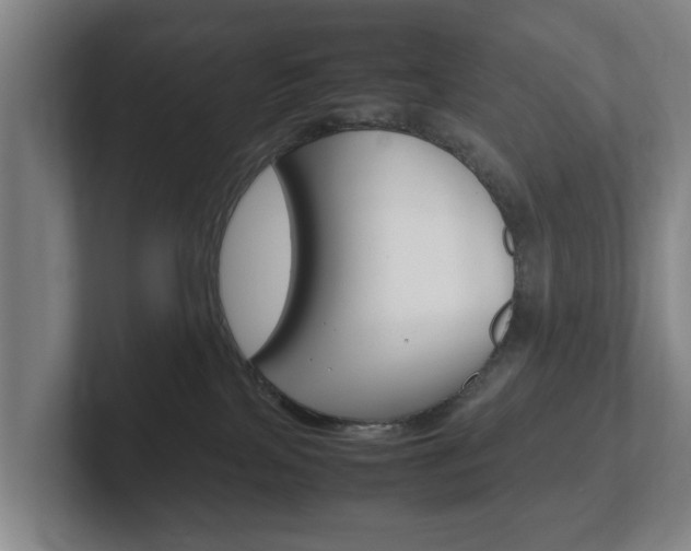 X0000102270089200807250906