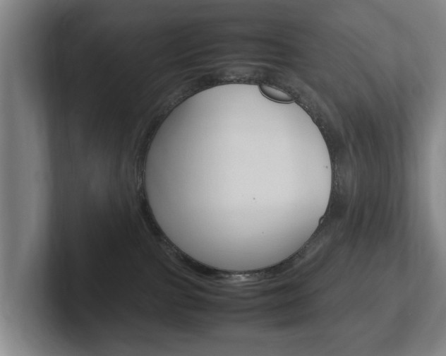 X0000102270091200807250906