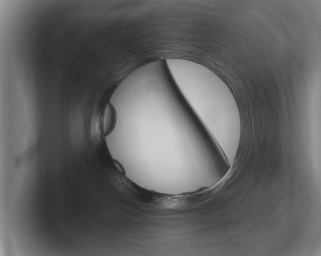 X0000102270094200807250906