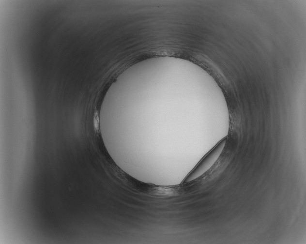 X0000102270095200807250906