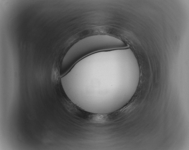 X0000102270096200807250906