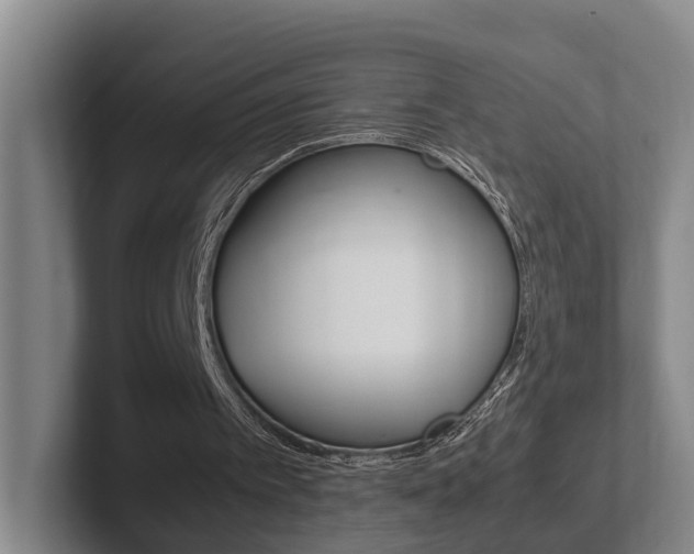 X0000102270097200807250906