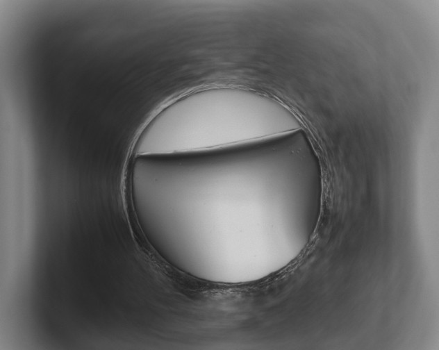X0000102270100200807250906