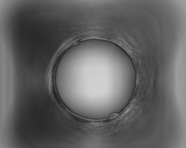 X0000102270101200807250906
