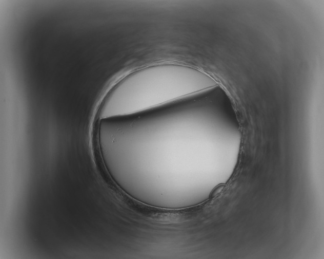 X0000102270104200807250906