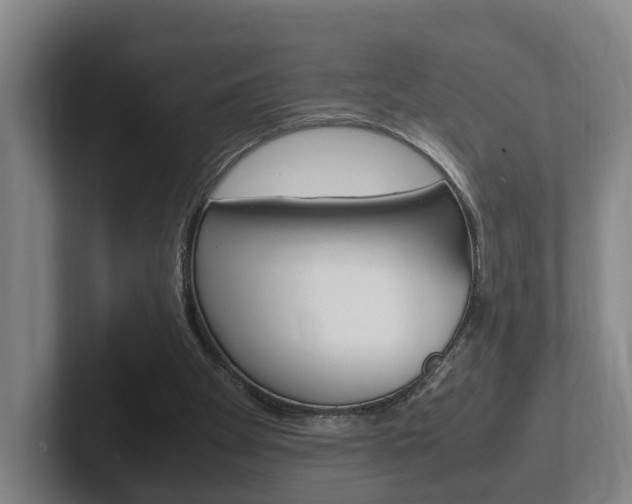 X0000102270105200807250906