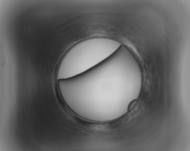 X0000102270106200807250905