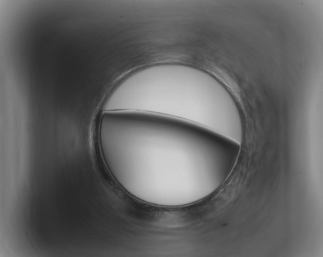 X0000102270107200807250905