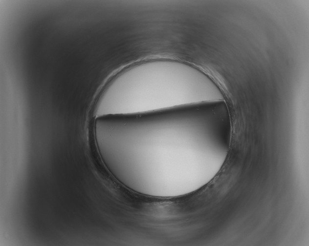 X0000102270108200807250905