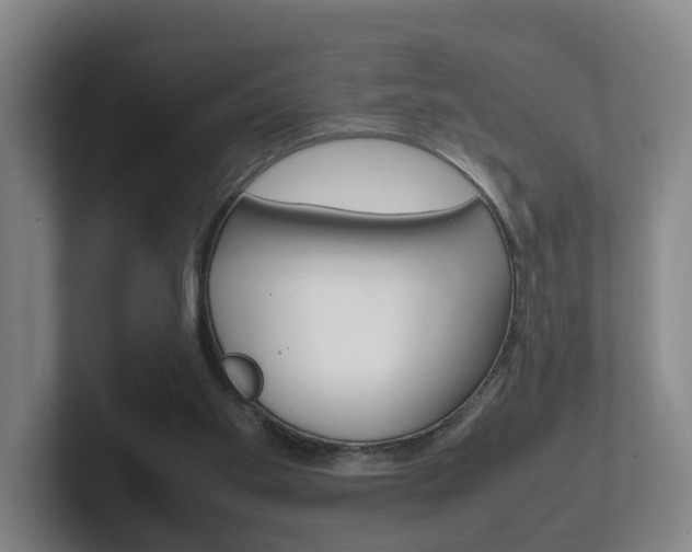 X0000102270109200807250905