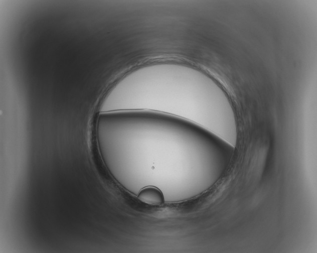 X0000102270111200807250905