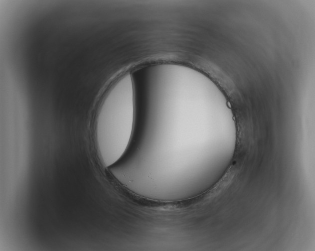 X0000102270112200807250905