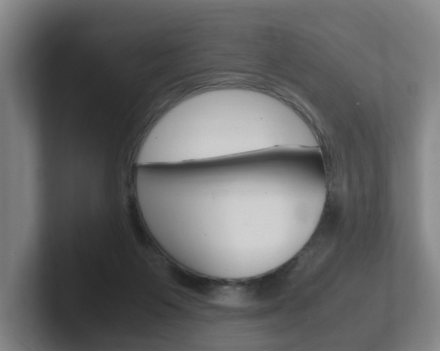 X0000102270119200807250905