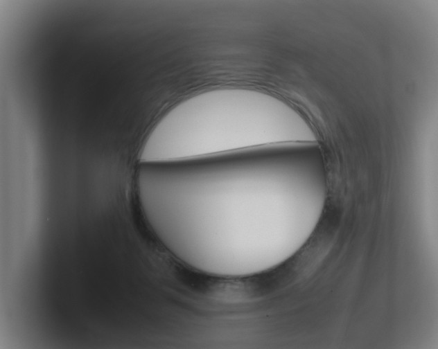X0000102270123200807250905