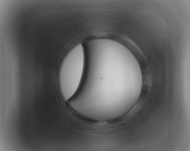 X0000102270124200807250905